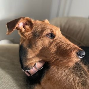 Meet your Posher, Madilyn